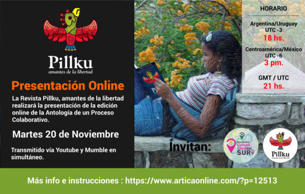 flyer-online1-pillku